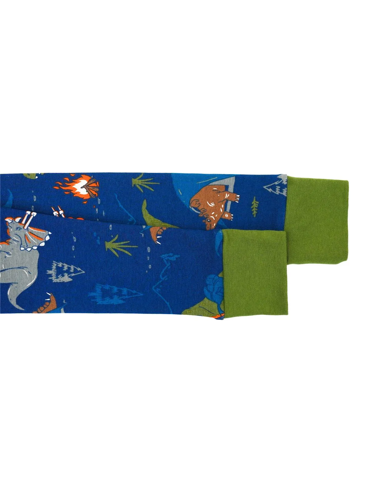 Prestigez Boys' Organic Cotton 2 Piece Pajama Set Dino Pattern