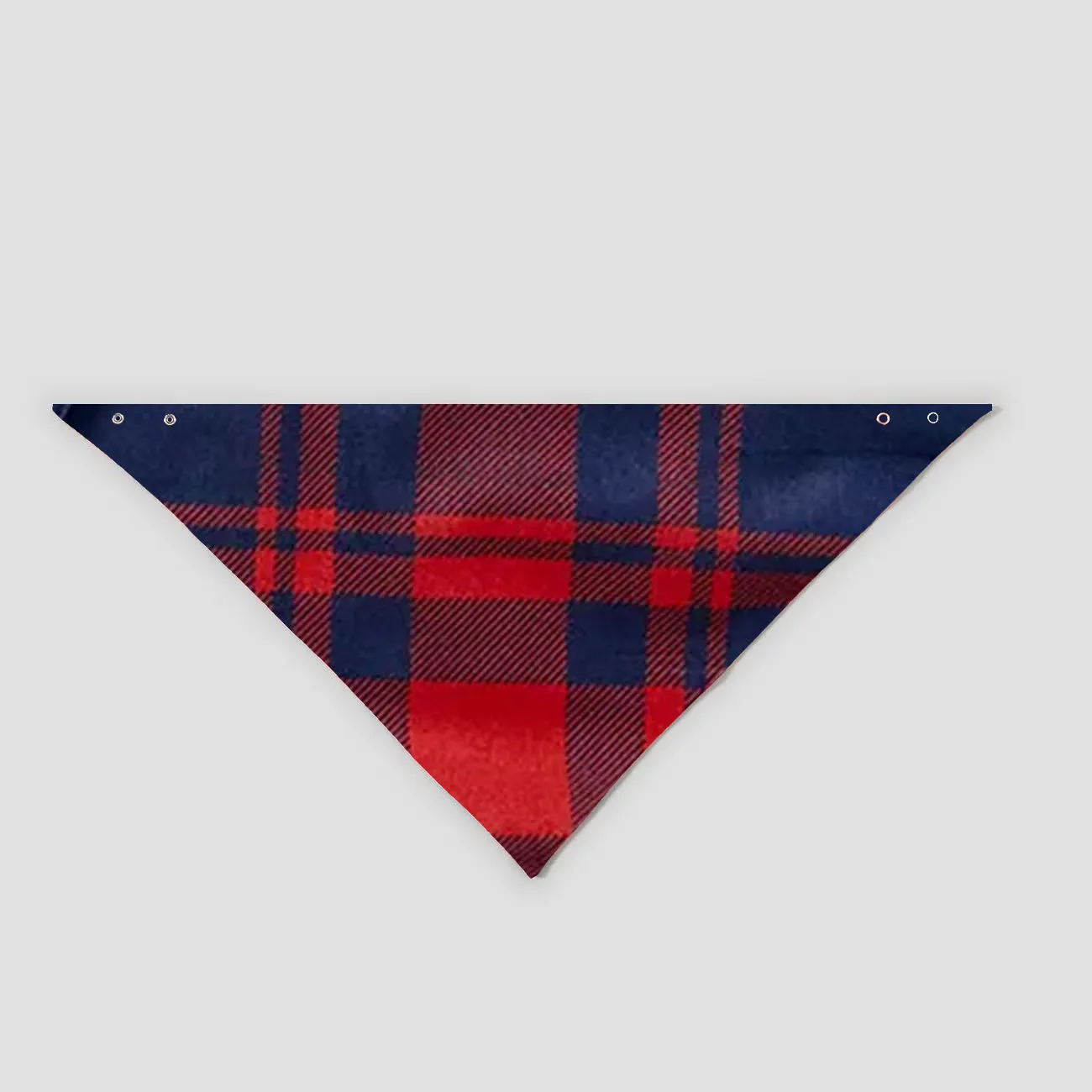 "Family Christmas 2024" Cute Text and Santa Hat Prints Blue Long Sleeves Top with Red and Blue Plaid Pants Christmas Matching Pajamas
