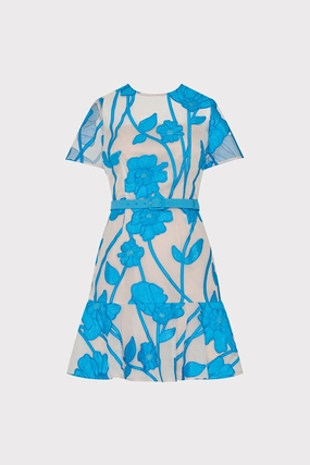Korean Mood Smooth Surface Rosie Grand Fleur Embroidered Mini Dress