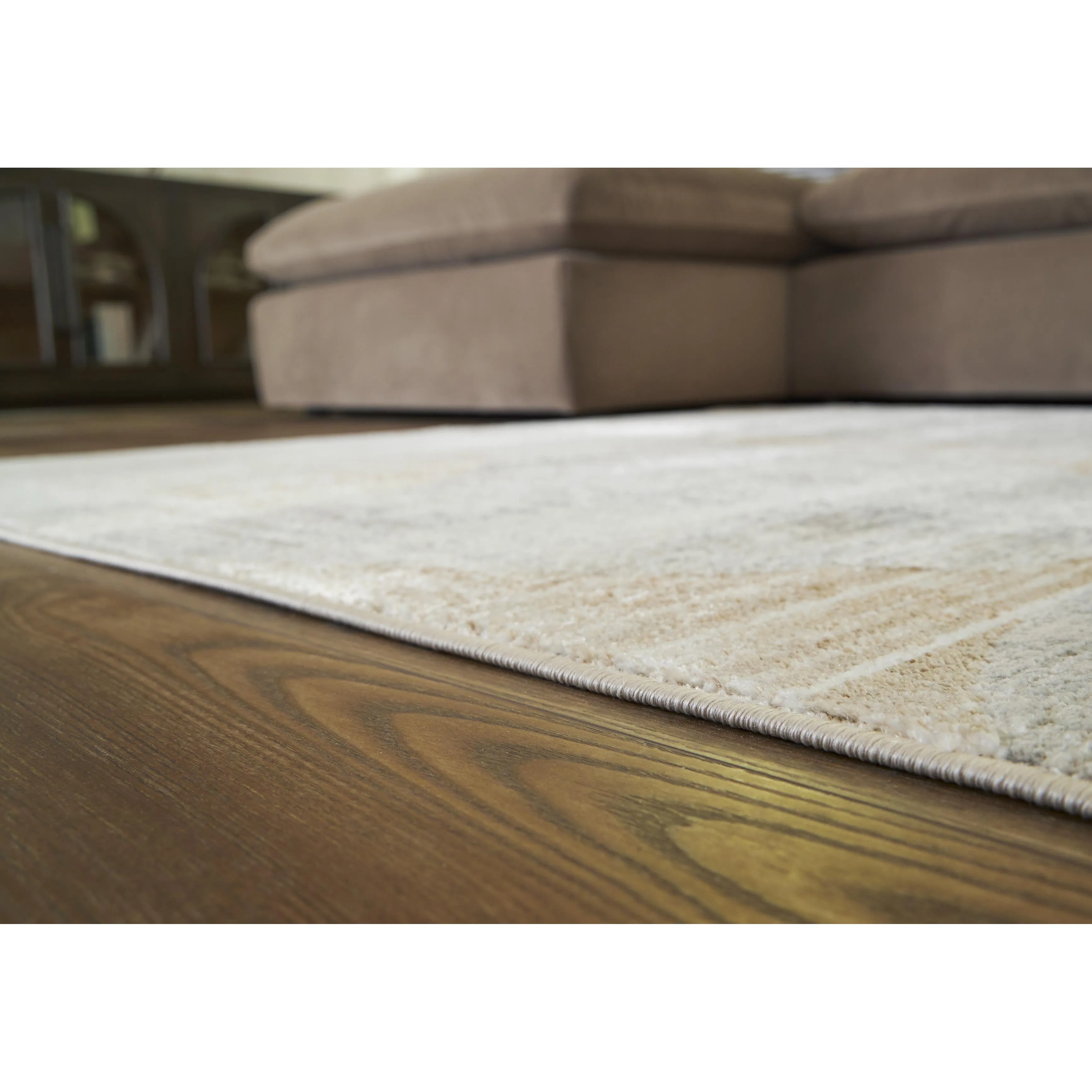 Signature Design by Ashley Truward R406472 Medium Rug