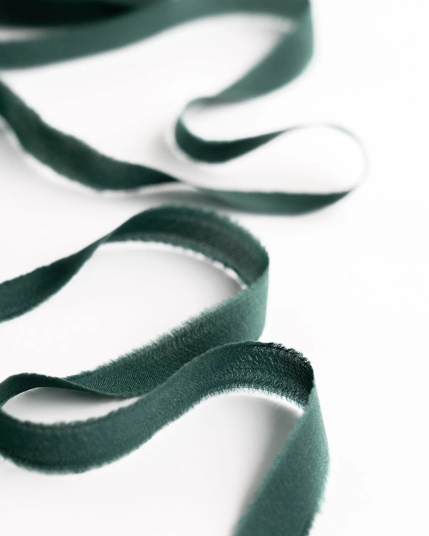 Silk Ribbon Trim in Moss