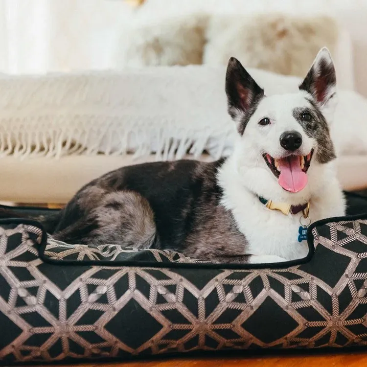 Solstice Lounge Pet Bed - Black - Extra-Large