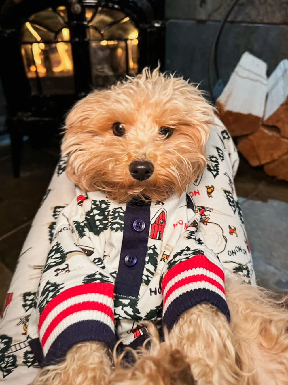 Where's Santa Pajama