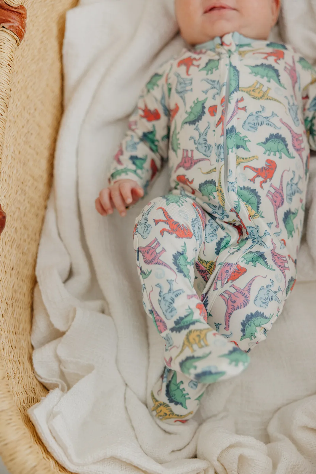Zip-Up Footie Pajama - Dinosaurs of Jurassic Park