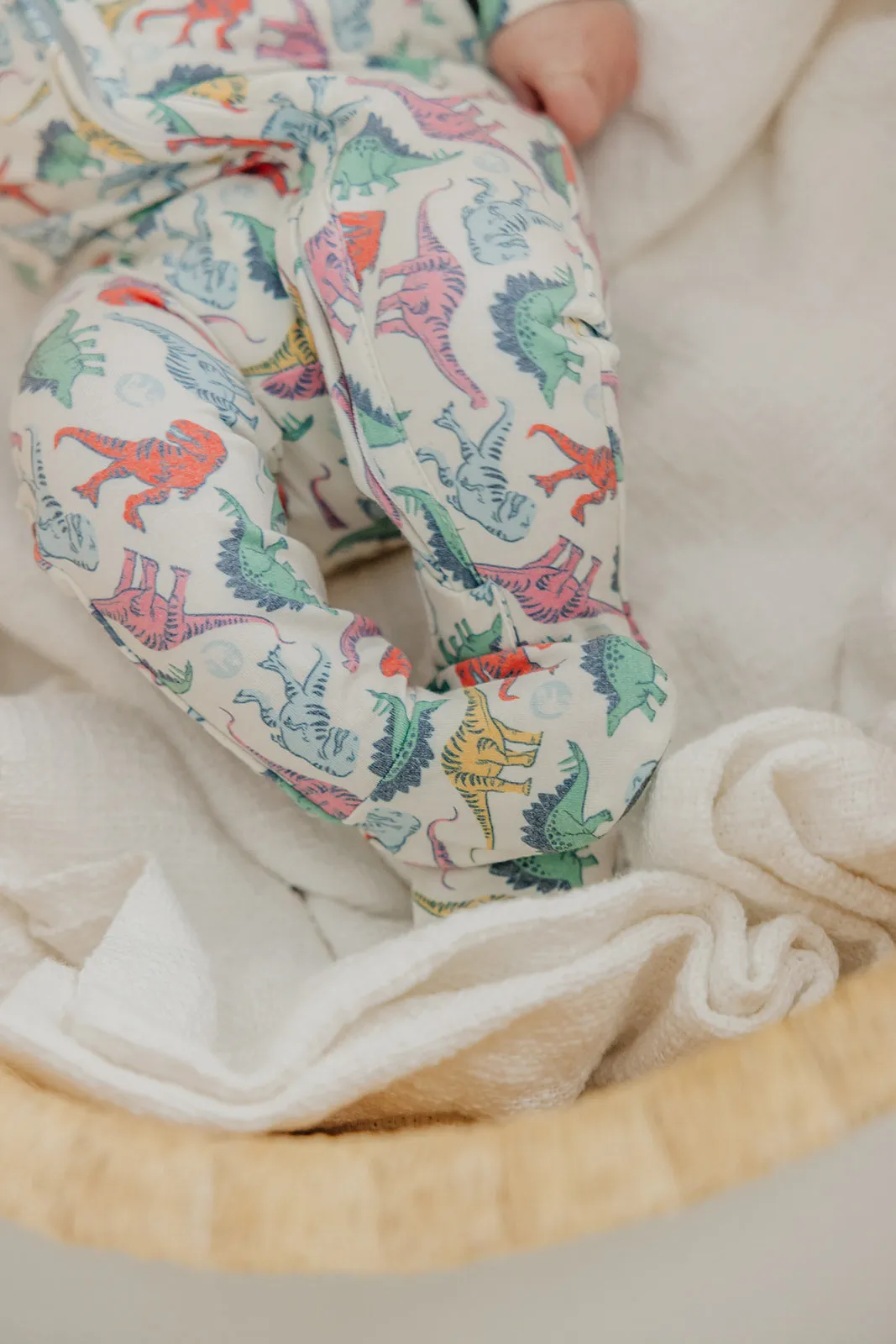Zip-Up Footie Pajama - Dinosaurs of Jurassic Park