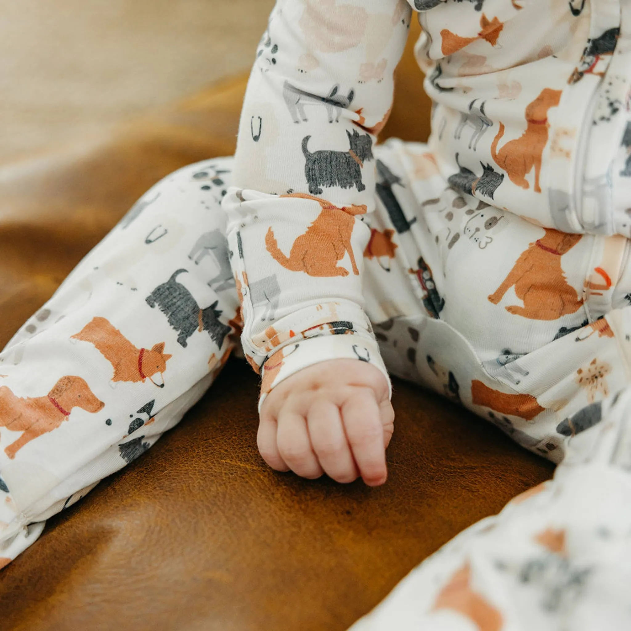 Zip-Up Footie Pajama - Rufus